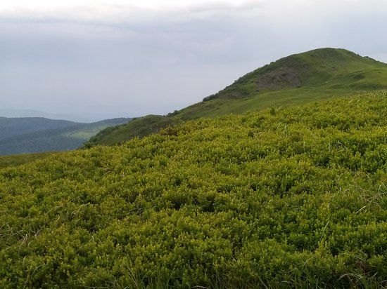 Połonina Wetlińska